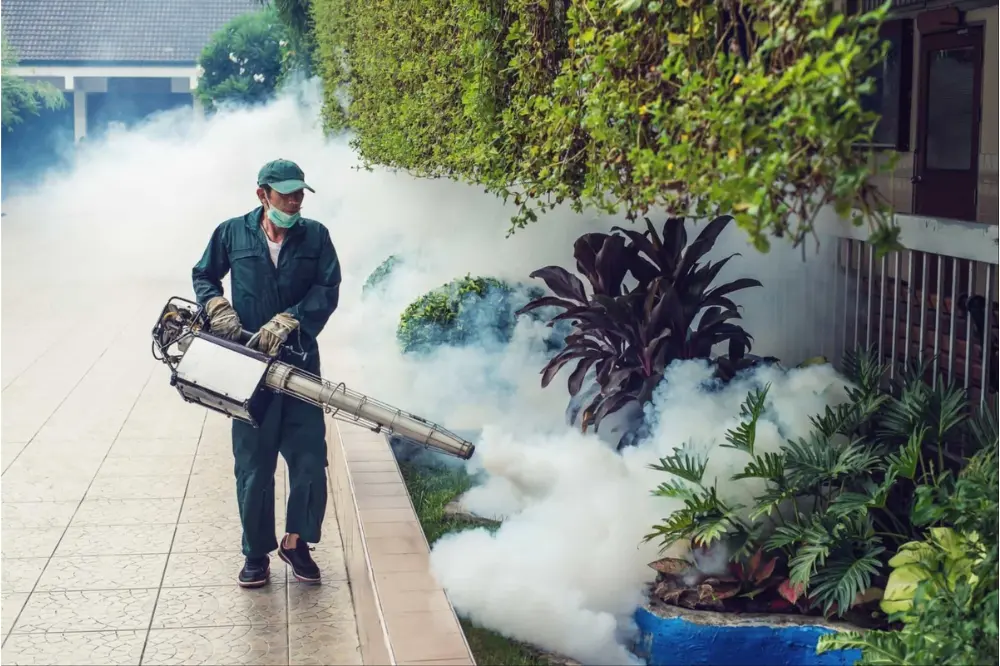 Fogging Treatment pest control service
